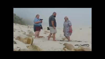 #recherchephotographe, #cherchephotographe,#photographemariage34, #photographesete, #photographeavignon,#photographebassindethau, #photographe34, #photographe11,#photographe66, #photographe84,#photographe30, #recherchephotographe34,#cherchephotographe34, 