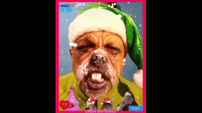 ☆ BLANCA NAVIDAD ☆