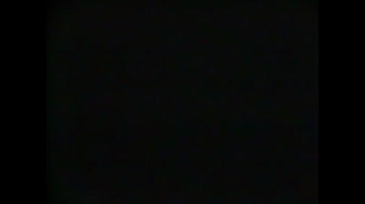 il poema del vento e degli alberi 1987