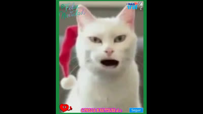 MI GATO CANTANDO EN NAVIDAD