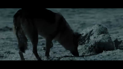 hannibal lecter le origini del male